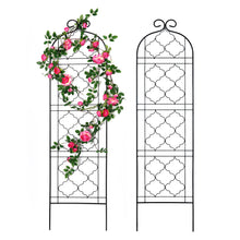 Load image into Gallery viewer, SCENDOR Garden Metal Frame Trellis for Climbing Plants (60 *16 Inch, Pack of 2, Black)