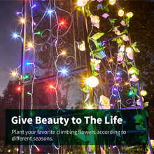 Load image into Gallery viewer, SCENDOR Garden Arbor Garden Arch, 92'' H x 42.5'' W, Trellis Plants Support with Metal Durable Iron