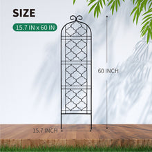 Load image into Gallery viewer, SCENDOR Garden Metal Frame Trellis for Climbing Plants (60 *16 Inch, Pack of 2, Black)
