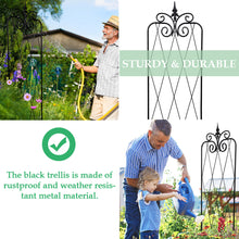 Load image into Gallery viewer, SCENDOR 59inch x15inch Rustproof Metal Vine Trellises A (150cm) 2Pack