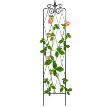 Load image into Gallery viewer, SCENDOR 71inch x15inch Rustproof Metal Vine Trellises A 180cm 2Pack
