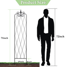 Load image into Gallery viewer, SCENDOR 71inch x15inch Rustproof Metal Vine Trellises A 180cm 2Pack
